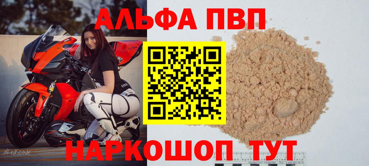 Альфа ПВП СК КРИС Сыктывкар
