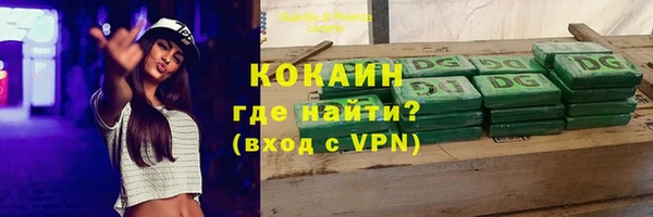 ПСИЛОЦИБИНОВЫЕ ГРИБЫ Абаза