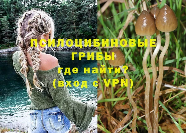ПСИЛОЦИБИНОВЫЕ ГРИБЫ Абаза