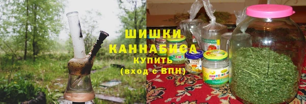 ПСИЛОЦИБИНОВЫЕ ГРИБЫ Абаза