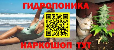гидра Рязань