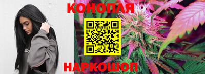 гидра Рязань