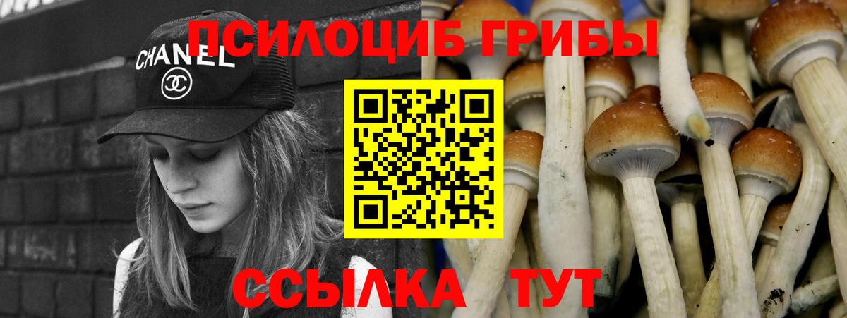 Псилоцибиновые грибы ЛСД  Вход с VPN  Псилоцибиновые грибы Psilocybine cubensis  Сыктывкар 