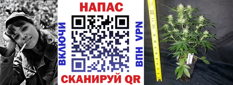 Каннабис White Widow  гидра зеркало  Сыктывкар 